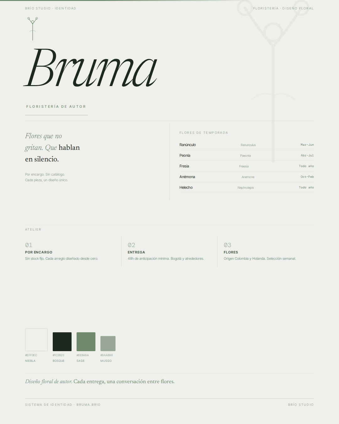 Bruma identidad